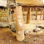 전쟁의 상처를 생활의 지혜로 바꾼 <b>라오스</b>