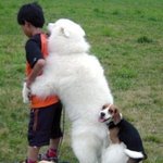 이것들이 <b>대낮</b>부터 단체로~