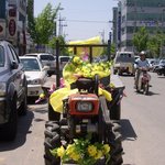 누구도 시도하지 않았던 스페셜한 웨<b>딩카</b>