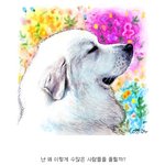 왕자병 걸린 <b>상근</b>이 ㅋㅋㅋㅋㅋ