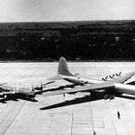 <b>잔디밭</b>에서 나는 철새 어마어마하게 크네요