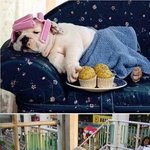 <b>빈부</b>의 격차...