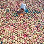 사과스파라고 이름은 들어보셨나?