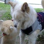 자갸~ 눈 <b>잠깐</b>만 감아볼래?