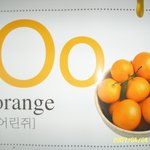 어린쥐(??)의 <b>비애</b>... 어른쥐는??