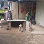 인생 다 <b>산</b> 표정
