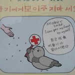 <b>도쿄</b> 비둘기는 알아서 한다!