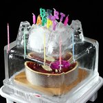 팬들한테 다이아<b>반지</b> 선물받는 소녀시대 제시카ㄷㄷ