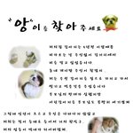 인천에 사시는분들 <b>필독</b>부탁드립니다 .유기견방지 ㅠㅠ