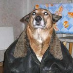 <b>저</b> 개간지 나나요 ??<b>사진</b>有