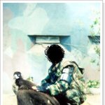 애완용 독수리 드립니다. 3m짜리. 5살입니다. 숫놈..