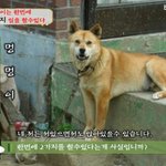 내 <b>남친구</b>의 <b>친구</b>의 아기를 갖었습니다.