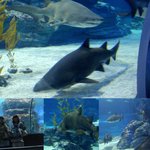 나도 걷고싶다!! 불끈!!