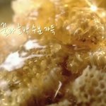 우리를 위해 <b>벌이</b> 희생하였당..