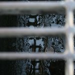 보아가 직접 찍은 사진들~~