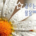 [본문스크랩] <b>버석</b>한 가을, 피부미인으로 다시 태어나자