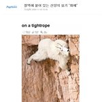 사람들 <b>x</b><b>발</b>놈들!!