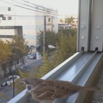 <b>휴지</b>위에서 기절해있는 참새 -_-;;