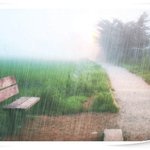 11월이예요~잘보내고 계시죠?