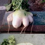 외갓집가서 혼자 패떳찍고 왔어요ㅋㅋ; 사진첨부^..^