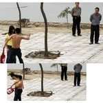 <b>대륙</b>의 이별