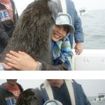 진짜 물개와 추억 만드는 달콤<b>살벌</b> 예진아씨 대박임! ㅋㅋ