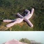 우주에서도 보이는 61m 거대 <b>토끼인형</b>!