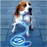 조명이 들어오는 개줄