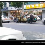 대단한 짐싣기의 <b>달인</b>!