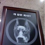 부르기 <b>난감</b>한 회사 이름;