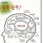 군인들 계급별 뇌<b>구조</b>!