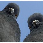 술 진탕 마시고 <b>담날</b> 눈을 떠보니...