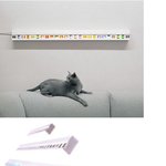 <b>슬라이드</b> 필름을 은은한 조명으로!