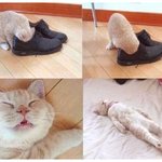 발<b>냄새</b>로 사망한 고씨