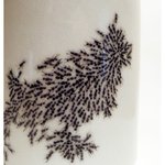 개미가 기어다니는 컵