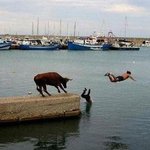 <b>급박</b>한 상황!!!