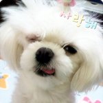 울미미 <b>윙크</b>하는것좀 봐요..ㅎㅎ