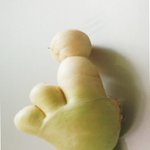 귀여운 무 <b>발견</b>...ㅋ