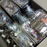 [후기] 사진有 <b>빼빼</b>로판다구했던그여자입니댱