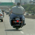 내려~ 내리란 말이다<b>tt</b>