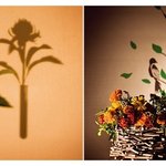 집 안 조명으로 연출하는 플라워 데코