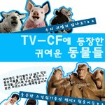 우리에게 <b>친숙</b>한 동물들!!