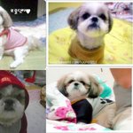 보고싶은 우리<b>단지</b>