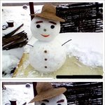 이보다 더 귀여울 순 없다