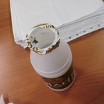 <b>나안</b>..파리 먹었을뿐이고...[사진有]