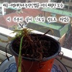 가위 안눌리는 확실한 방법!