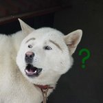 한때 놀았던나!  쫌 까진 7살 어린 여친~