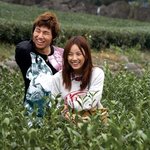 제주도 <b>녹차</b>따는 아낙네 유고걸 효리!!