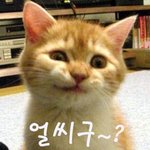 ♡ 월 요 병 ♡