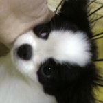 <b>토토</b>~^^＊